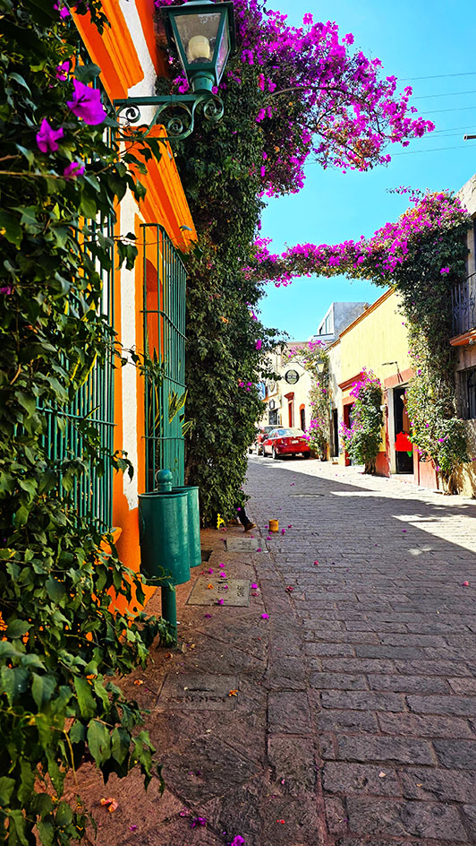 calles de tequis
