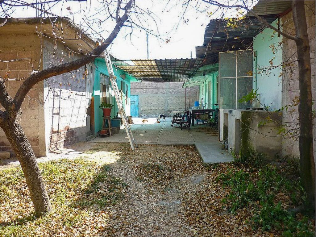 entrada peatonal 3