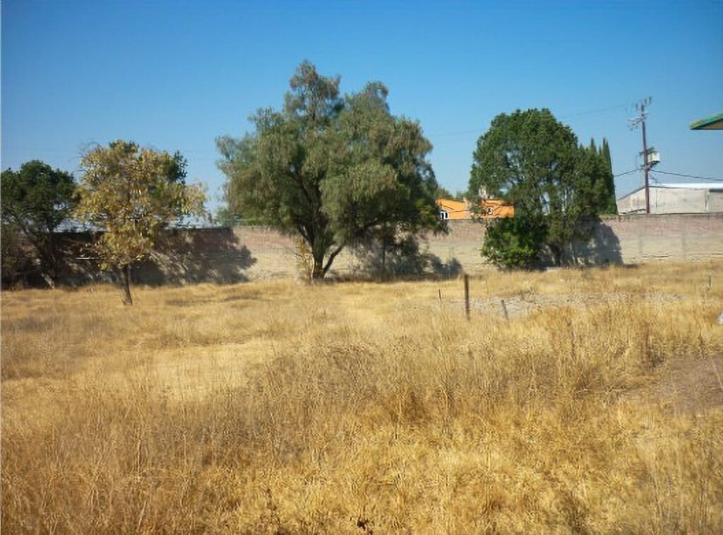 jardín 2