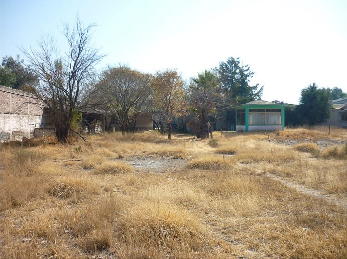 jardín 3