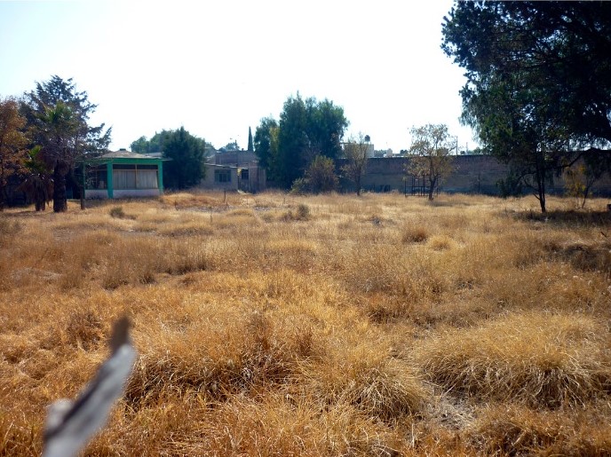 jardín izquierda i