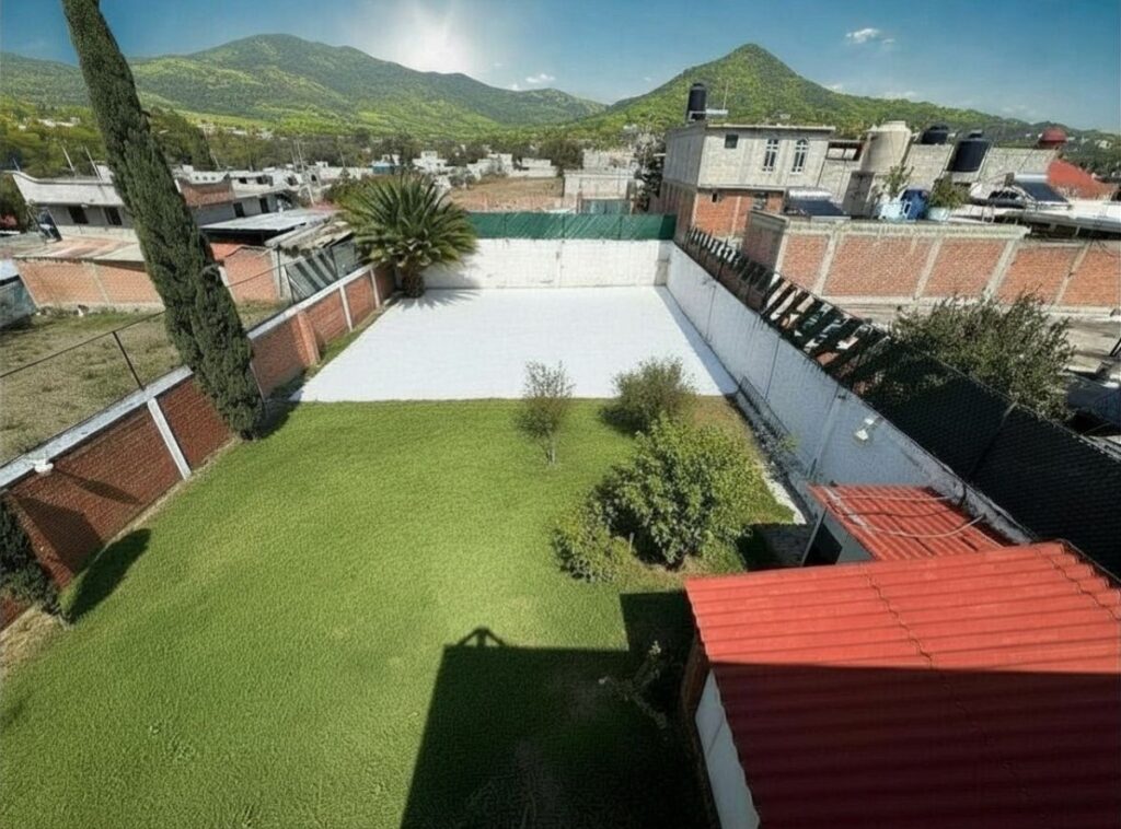 jardín trasero desde lo alto 1