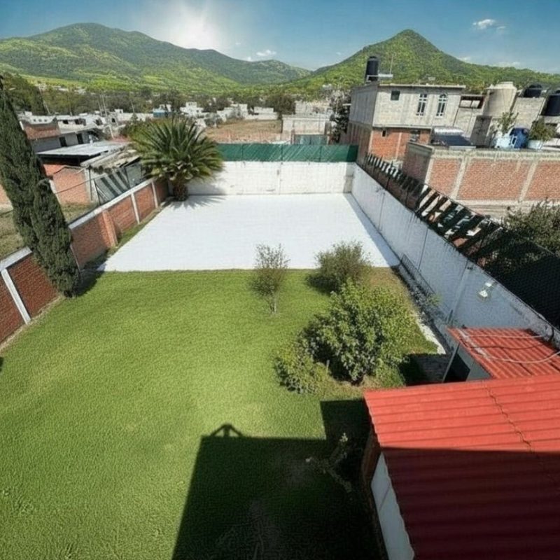 jardín trasero desde lo alto 1